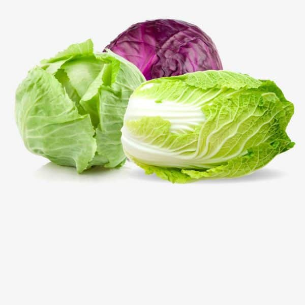 Cabbage & Salted Vegetables 包菜 & 咸菜