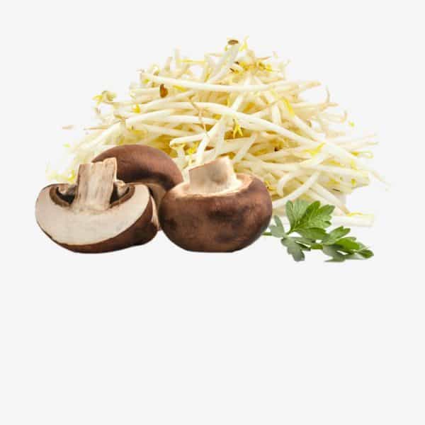 Mushroom & Beansprout 菇类 & 豆芽